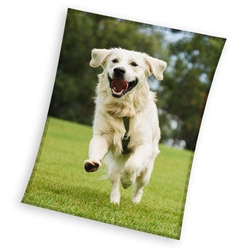 Odeja Dog Happytail Retriever