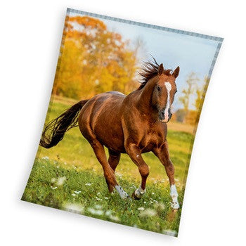 Odeja Horses Gallop