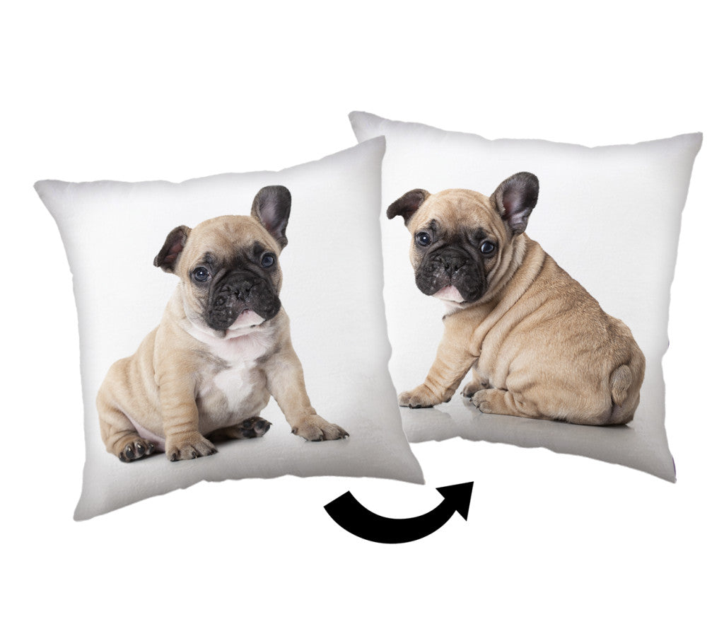 Okrasna blazina Dog Bulldog