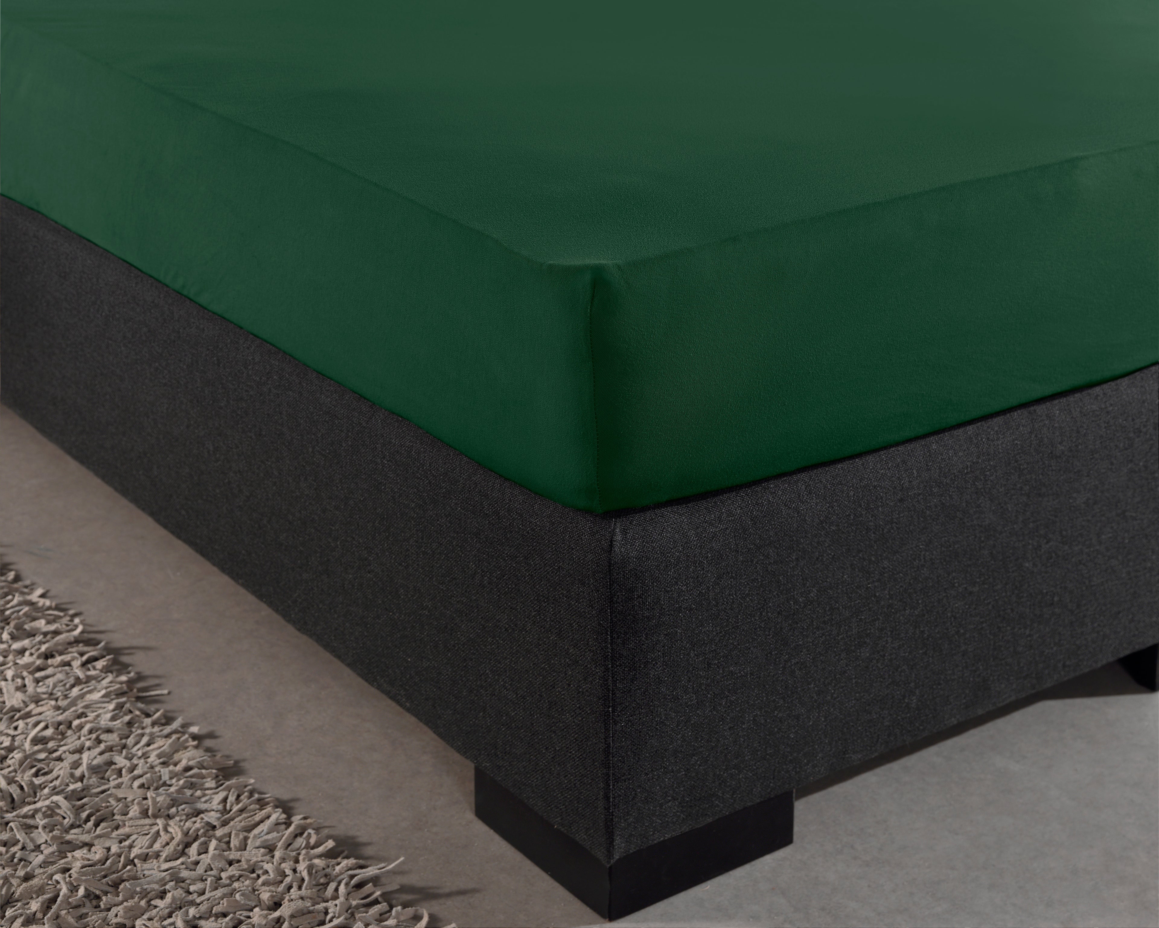 Single Jersey 135 gr. rjuha Botanisch Green