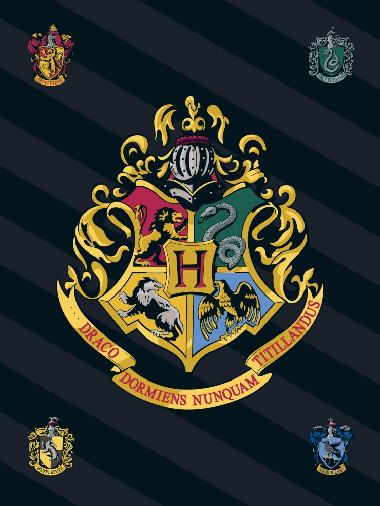 Odeja Harry Potter črna