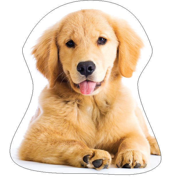 Okrasna blazina Dog Golden Retriver
