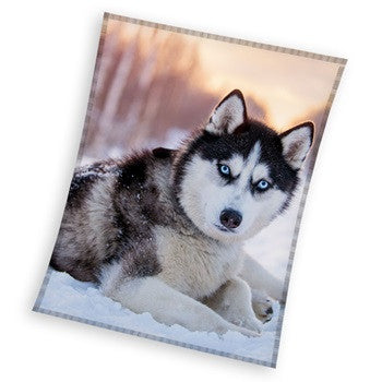 Odeja Dog Husky