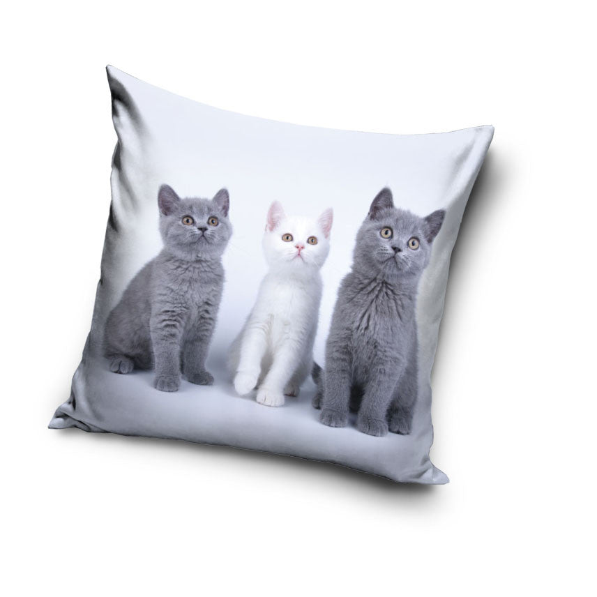 Cat Trio okrasna prevleka za vzglavnik 40x40 cm Velvet