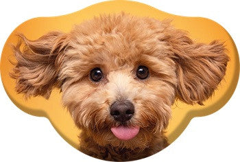 Okrasna blazina Dog Toy Poodle