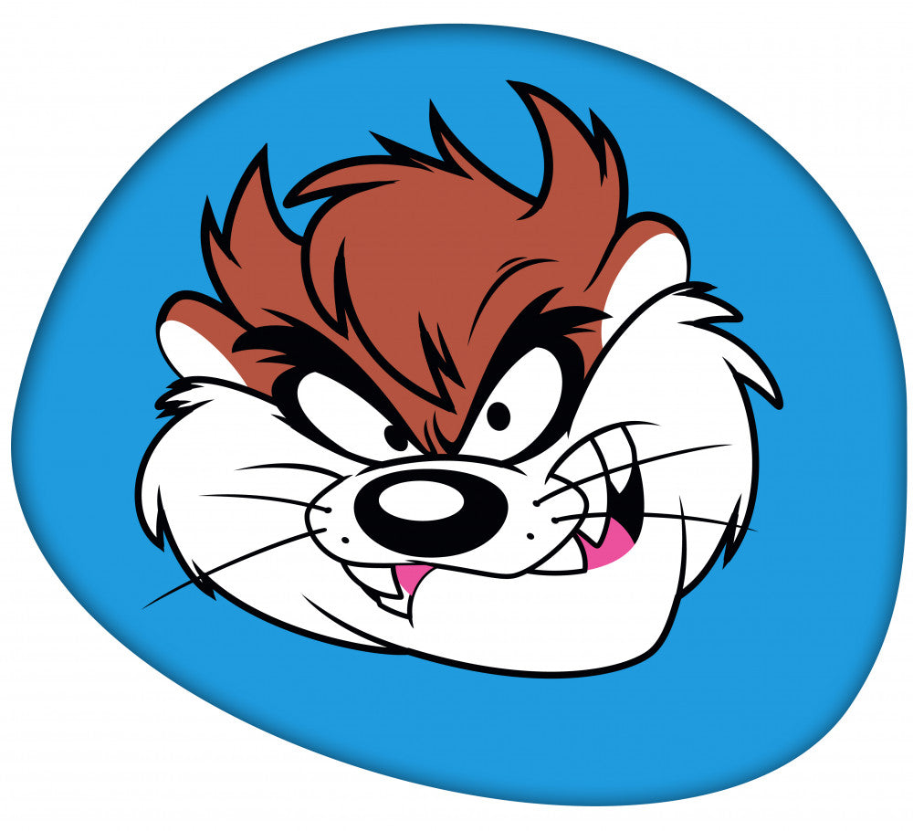 Okrasna blazina The Looney Tunes