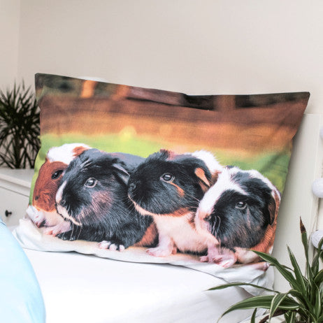 Komplet posteljnine Animals Gvinea Pig 140cm—200cm, 70cm—90 cm