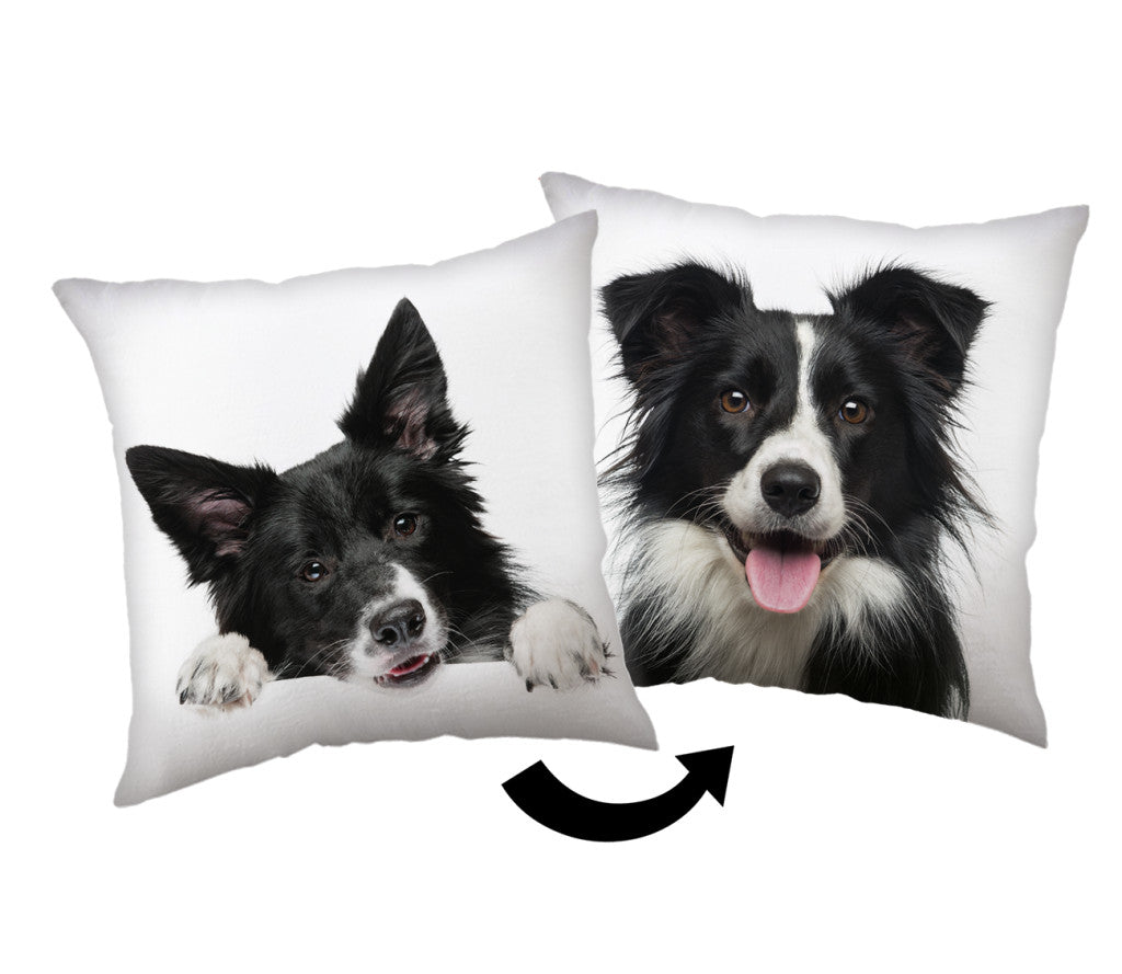 Okrasna blazina pes Border Collie